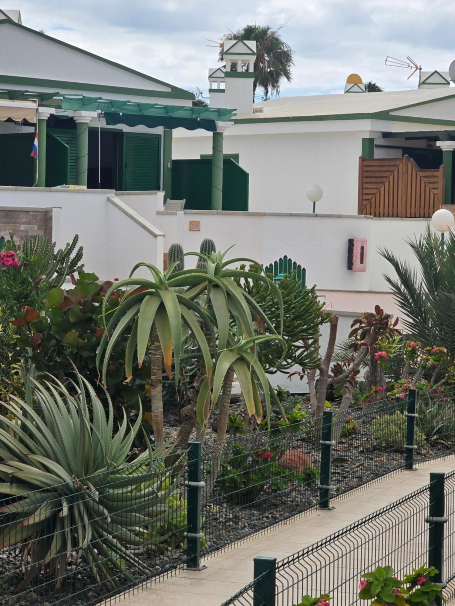The Sunflower Maspalomas  Eksteriør bilde